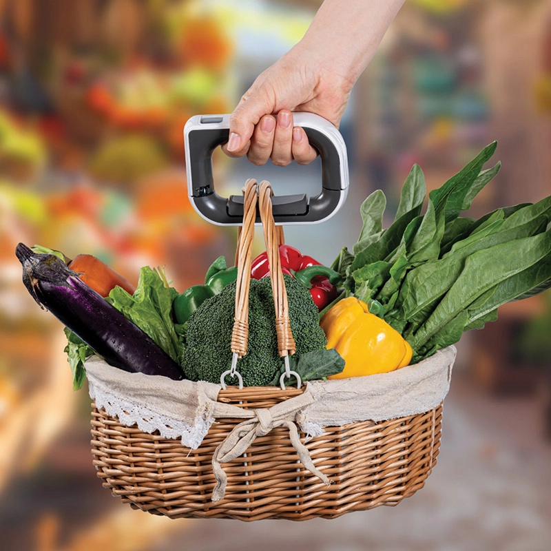 Green-Lion-Travel-Mate-Luggage-Scale-Gl-LS01